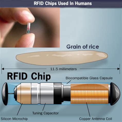 rfid microchip tracking system|rfid chip tracking technology.